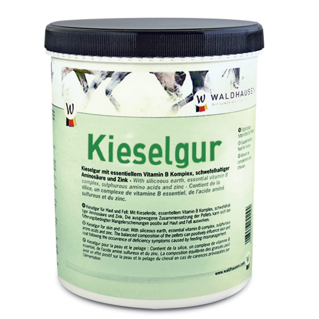 Kieselgur, 1 kg | 3909300